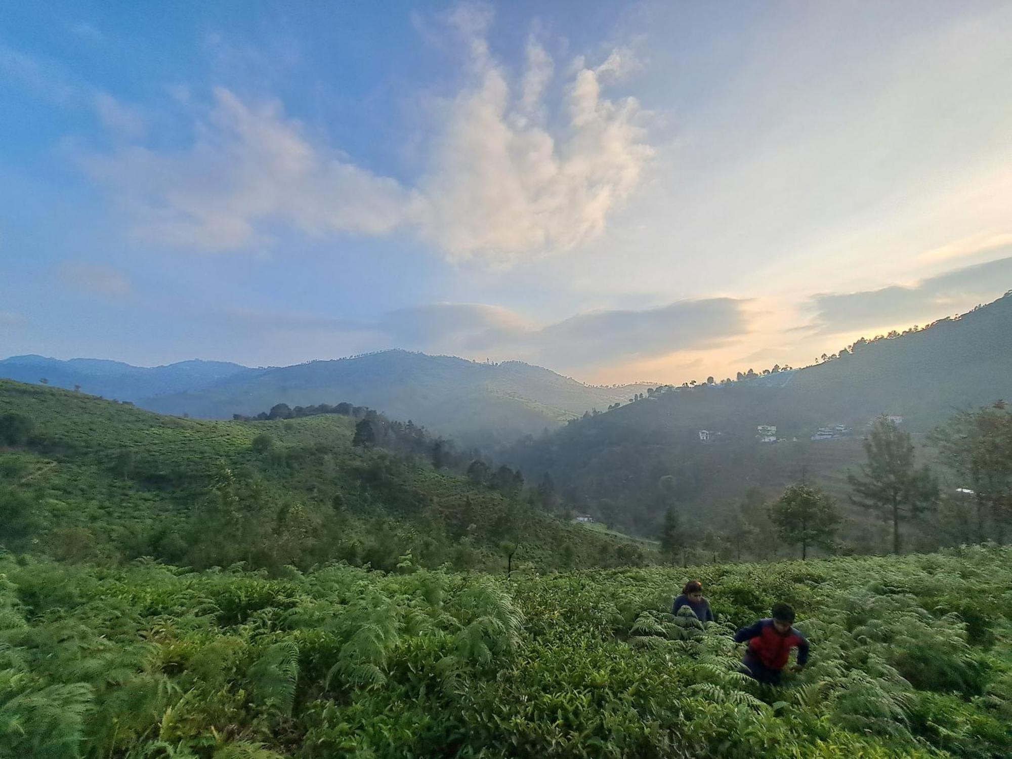 Ghar - Homestay, Where Family Lives Together Aravankādu 外观 照片