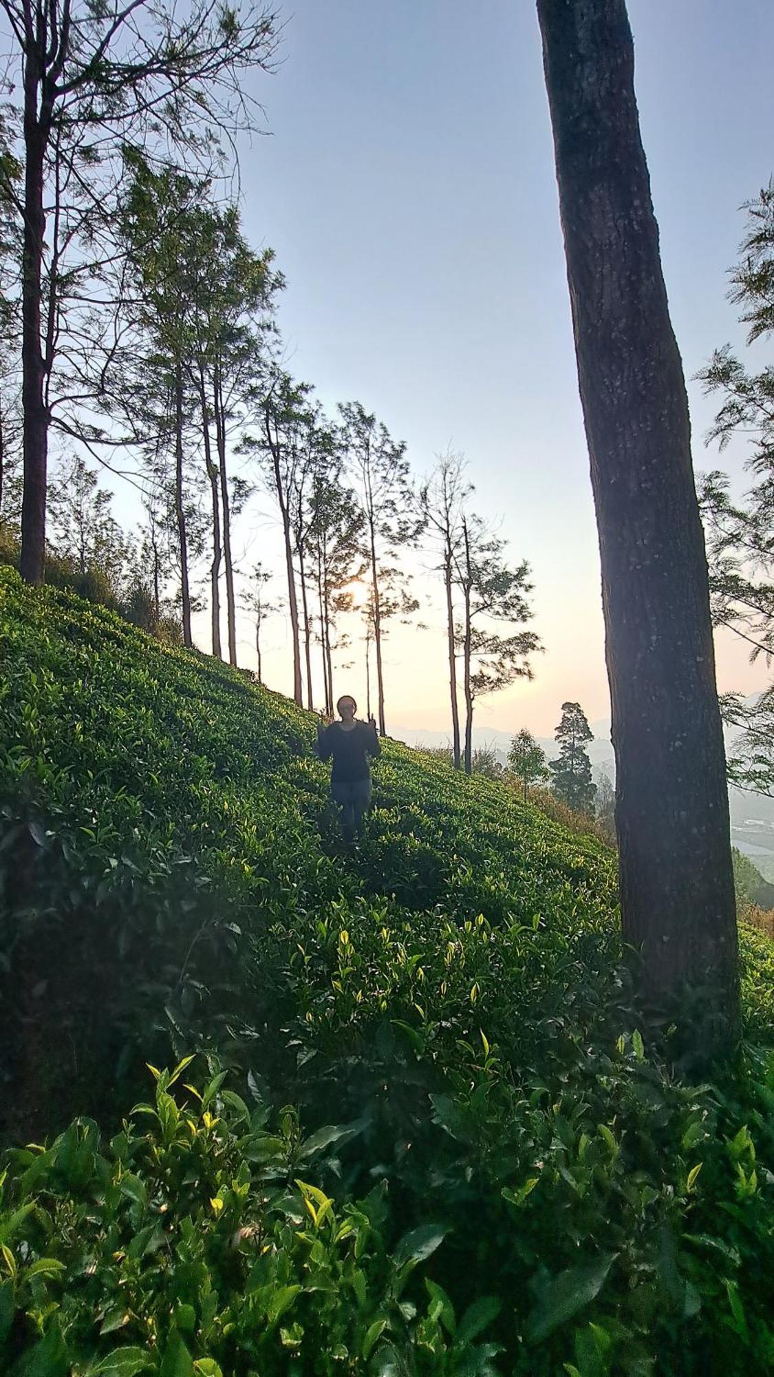 Ghar - Homestay, Where Family Lives Together Aravankādu 外观 照片