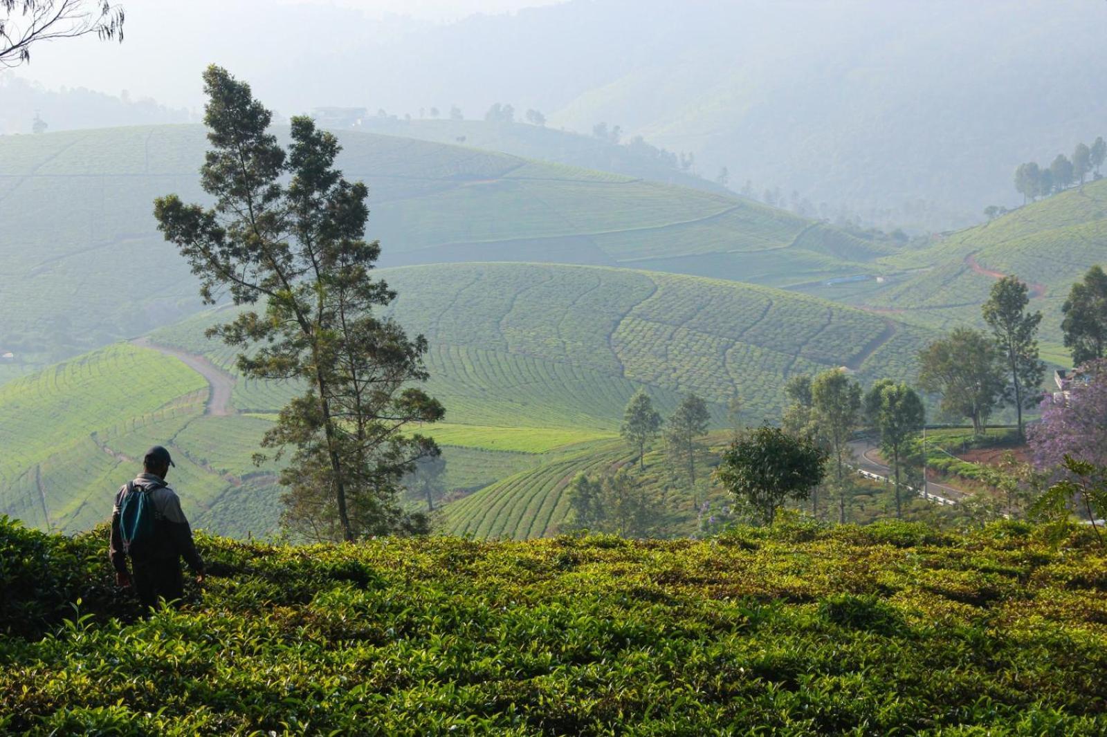 Ghar - Homestay, Where Family Lives Together Aravankādu 外观 照片