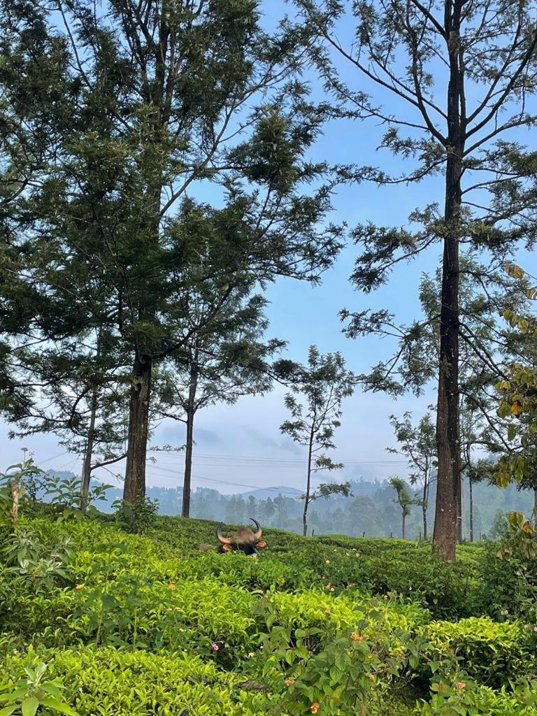 Ghar - Homestay, Where Family Lives Together Aravankādu 外观 照片