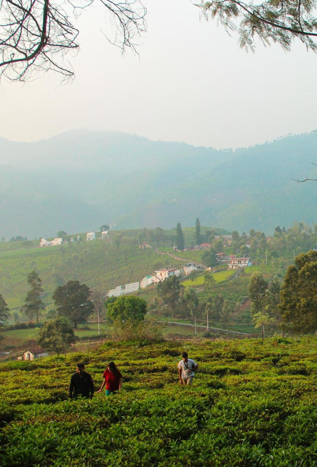 Ghar - Homestay, Where Family Lives Together Aravankādu 外观 照片