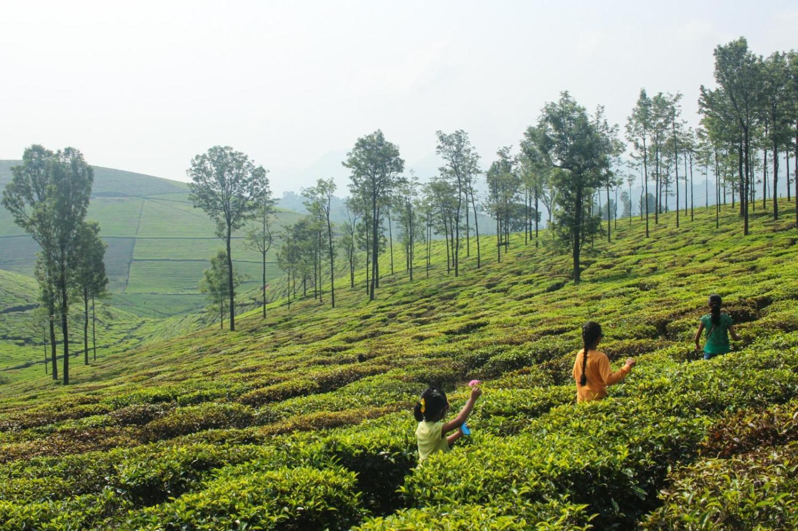 Ghar - Homestay, Where Family Lives Together Aravankādu 外观 照片