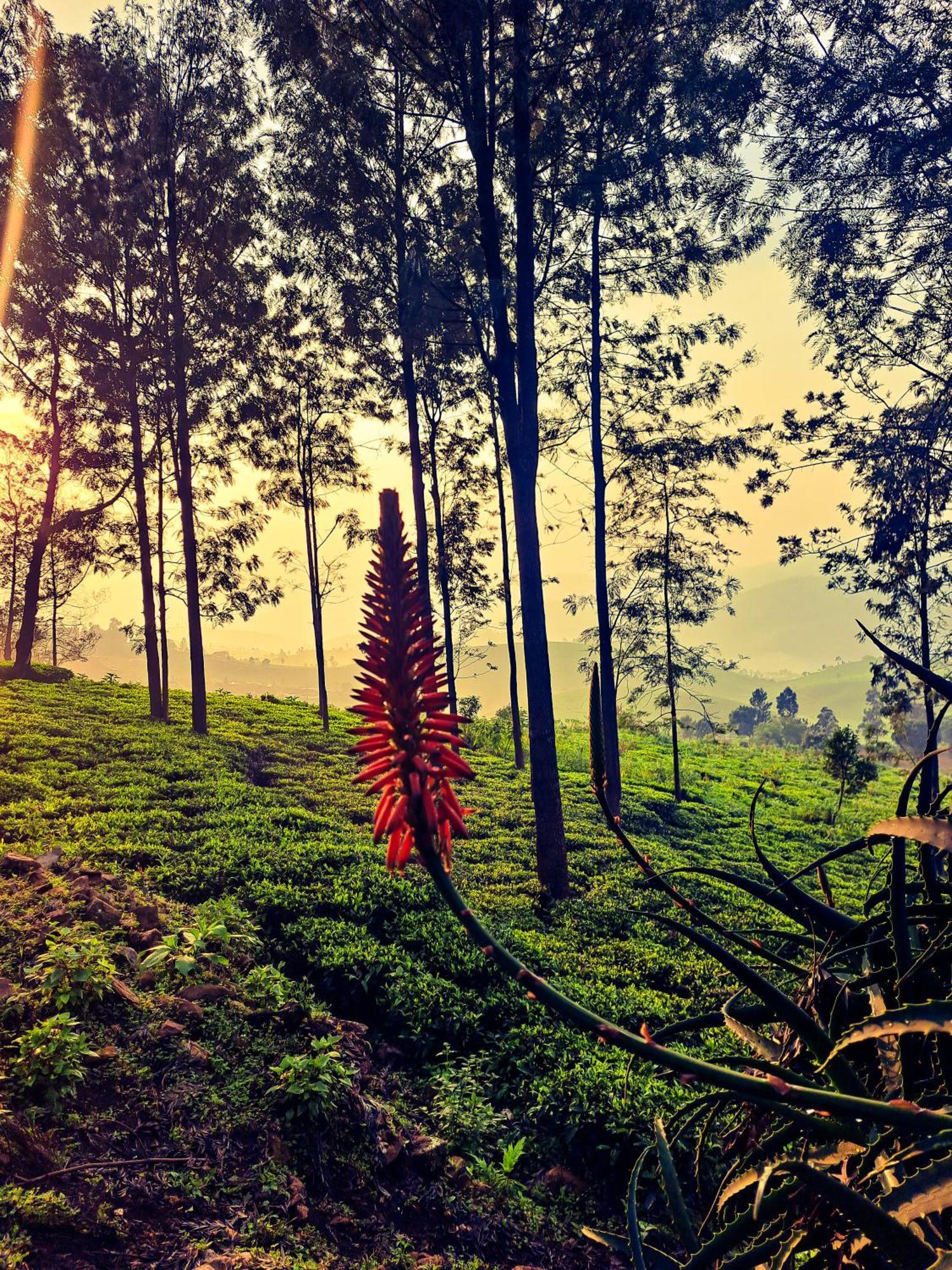 Ghar - Homestay, Where Family Lives Together Aravankādu 外观 照片