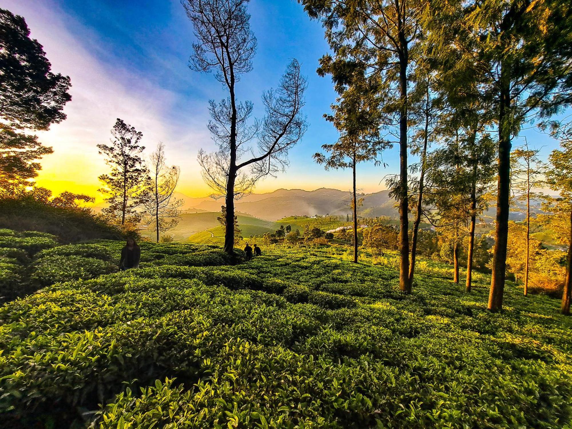 Ghar - Homestay, Where Family Lives Together Aravankādu 外观 照片